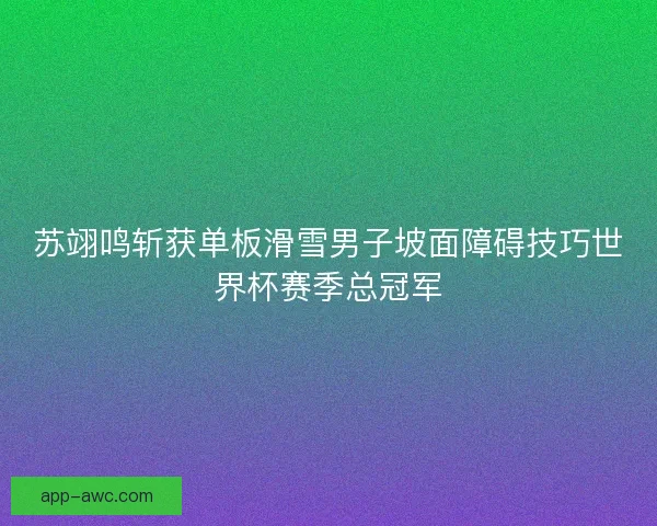 苏翊鸣斩获单板滑雪男子坡面障碍技巧世界杯赛季总冠军