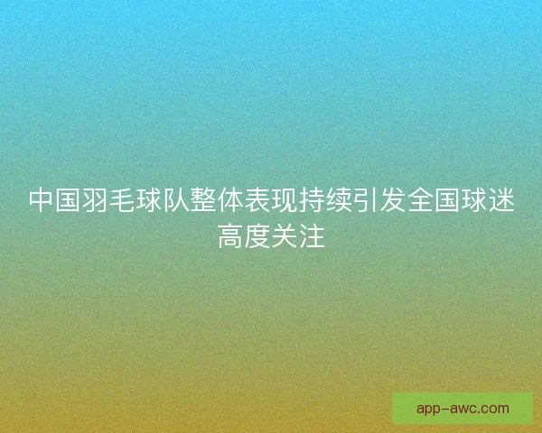 中国羽毛球队整体表现持续引发全国球迷高度关注