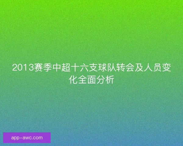 2013赛季中超十六支球队转会及人员变化全面分析